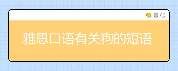 雅思口语有关狗的短语（下）