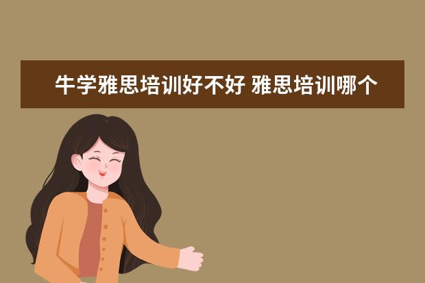 牛学雅思培训好不好 雅思培训哪个机构比较好,雅思培训机构哪个好,最好的...