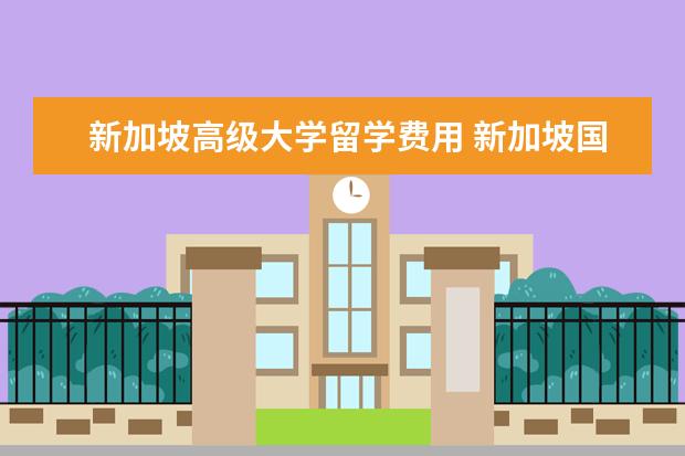 新加坡高级大学留学费用 新加坡国立大学一年留学费用