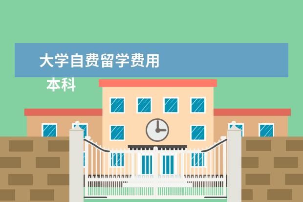 大学自费留学费用 
  本科