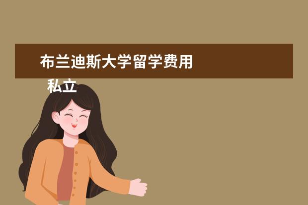 布兰迪斯大学留学费用 
  私立大学