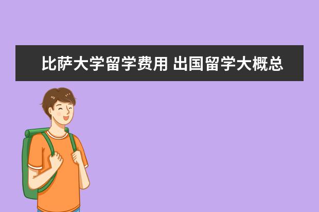 比萨大学留学费用 出国留学大概总共需要多少费用