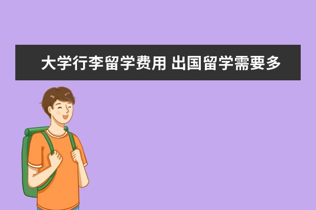 大学行李留学费用 出国留学需要多少钱啊