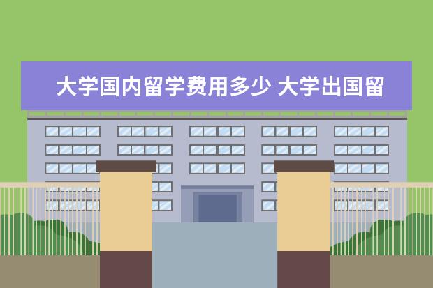 大学国内留学费用多少 大学出国留学费用