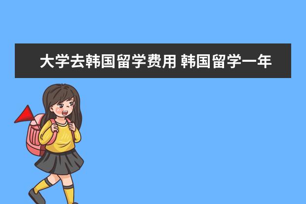 大学去韩国留学费用 韩国留学一年费用需要的多少