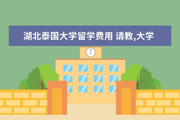 湖北泰国大学留学费用 请教,大学本科交换生项目分几种?