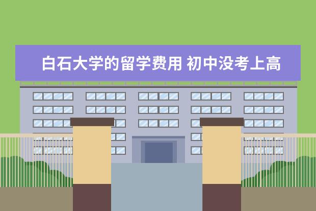 白石大学的留学费用 初中没考上高中,可以去干什么?