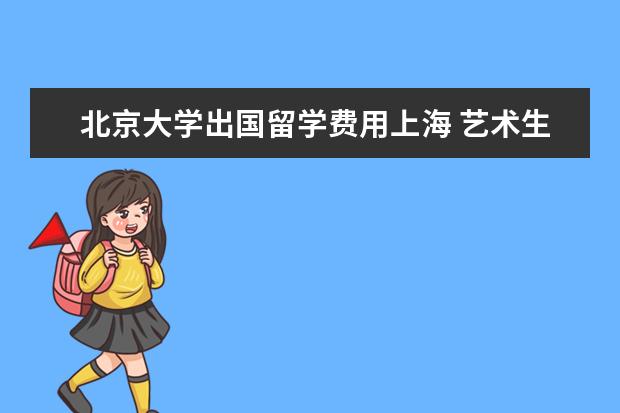 北京大学出国留学费用上海 艺术生出国留学需要什么?