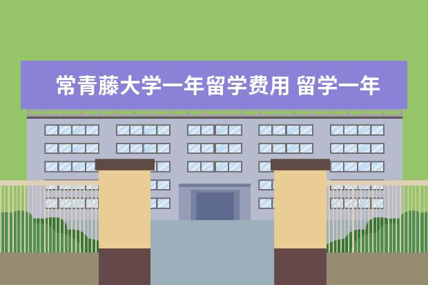 常青藤大学一年留学费用 留学一年大概需要多少钱?