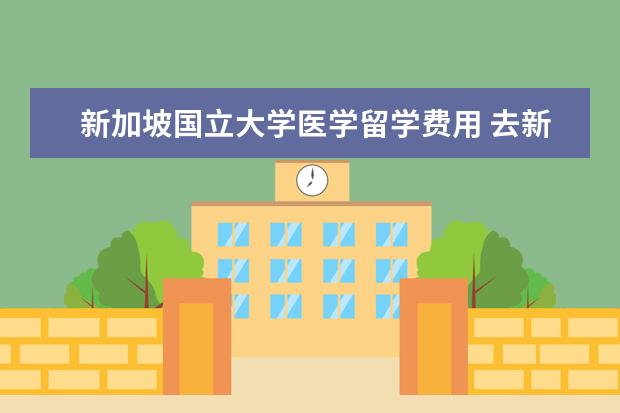 新加坡国立大学医学留学费用 去新加坡国立大学读研的费用问题?