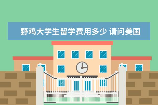 野鸡大学生留学费用多少 请问美国留学好还是国内大学好啊?为什么