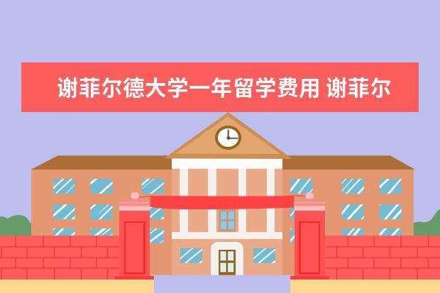 谢菲尔德大学一年留学费用 谢菲尔德大学留学一年费用多少