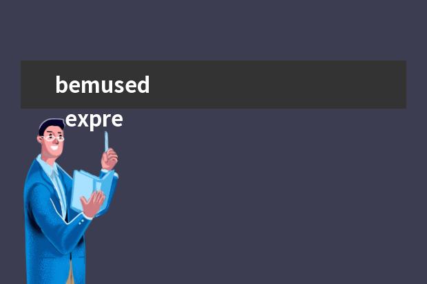 bemused 
  expression用法