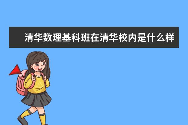 清华数理基科班在清华校内是什么样的存在?