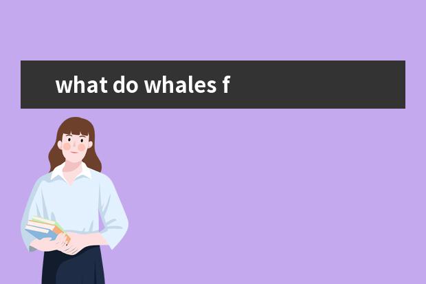 what do whales feel 答案（2023年剑桥雅思阅读真题解析：Thomas Young）
