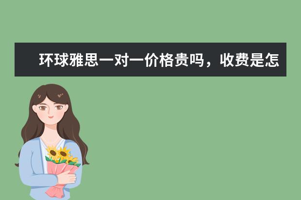 环球雅思一对一价格贵吗，收费是怎么算的