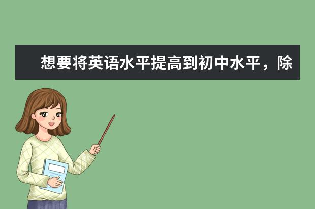 想要将英语水平提高到初中水平，除了单词，还需要学习哪些？（换句话说，就是能完全看懂小学的全部英语，